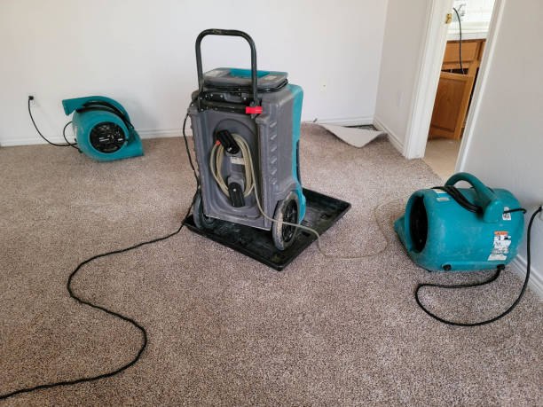 Best 24/7 water damage repair  in Del Rey, CA