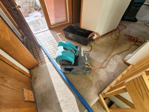 Professional Water damage restoration in Del Rey, CA