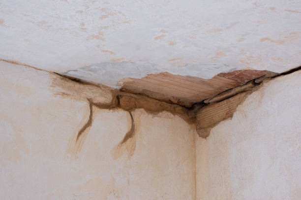 Water damage restoration insurance claims in Del Rey, CA