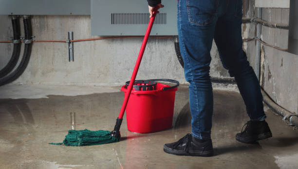 Best Carpet water damage restoration  in Del Rey, CA