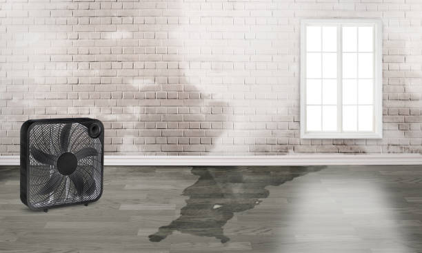Carpet water damage restoration in Del Rey, CA