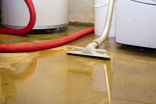 Carpet water damage restoration in Del Rey, CA