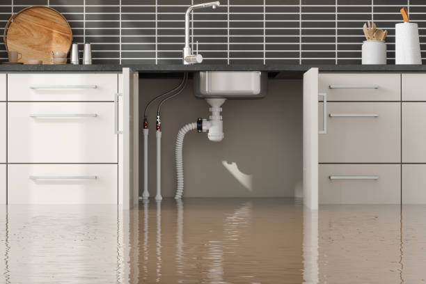 Best 24-hour water damage restoration  in Del Rey, CA