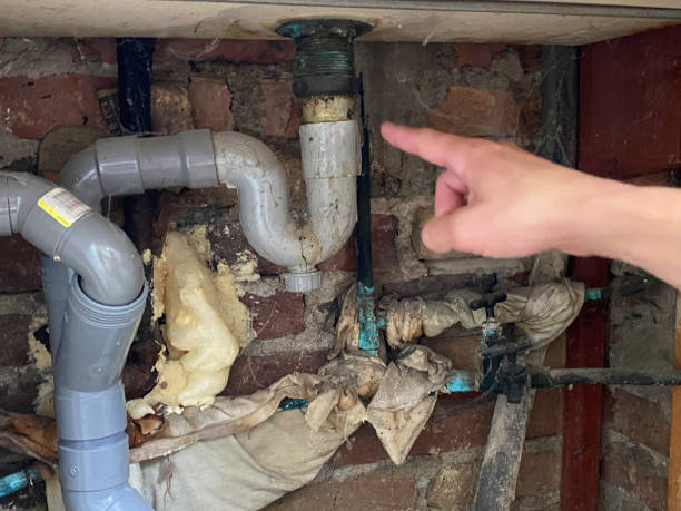 Best Flooded house restoration  in Del Rey, CA